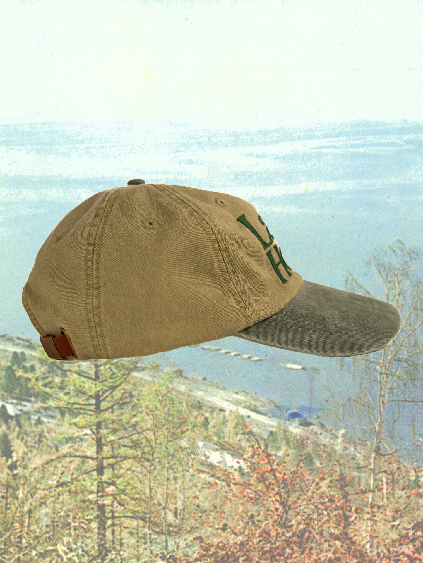 Dad Hat in Lakeshore Pine/Khaki