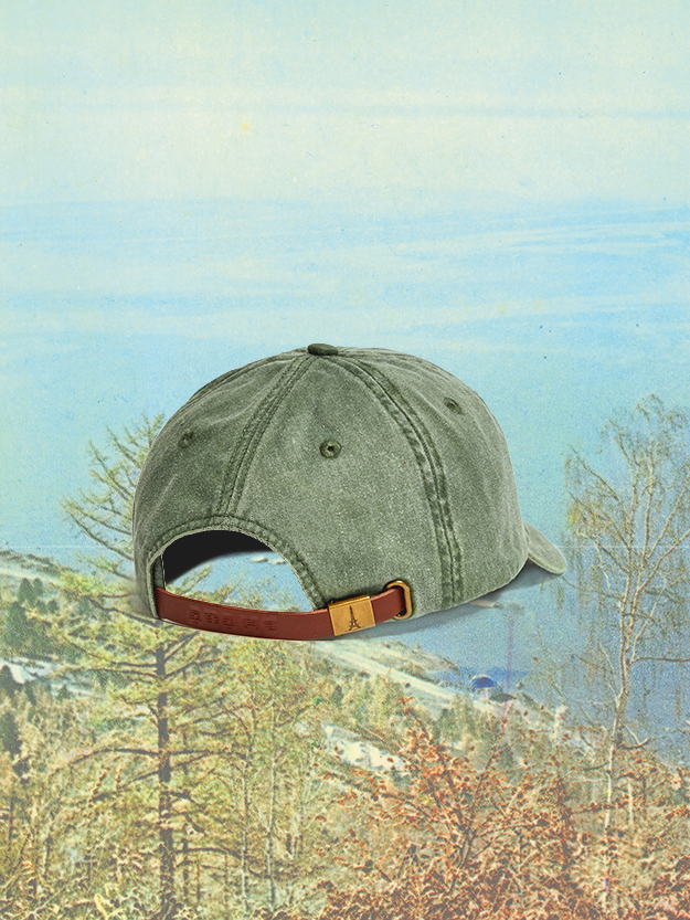 Dad Hat in Lakeshore Pine