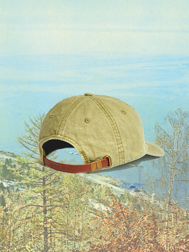 Dad Hat in Lake Moss